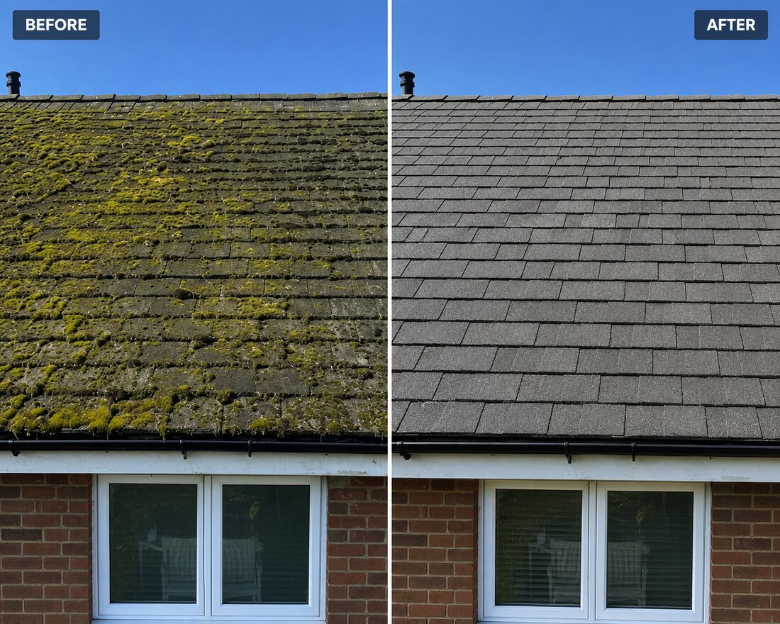 Roof Moss Removal before and after in Portland, OR